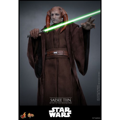 【ムービー・マスターピース】 『スター・ウォーズ エピソード3／シスの復讐』 1／6スケールフィギュア サシー・ティン (可動式フィ...._6