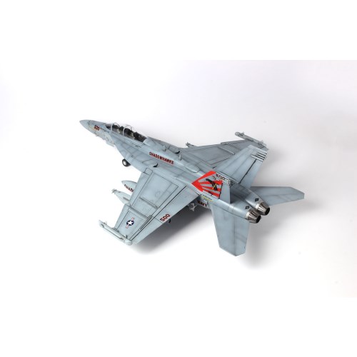 1／48 アメリカ海軍 電子戦機 EA-18G グラウラー'VAQ-141