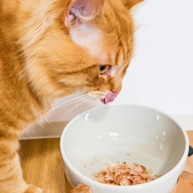 ONOMICHI 猫節 １０g(２ｇ×５) ２０箱セット 本枯節 まるじょう 送料込み 鰹節 かつお おつまみ おやつ_7