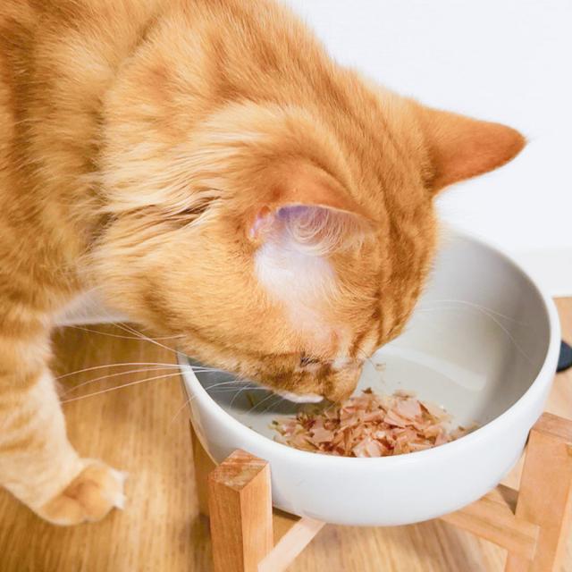 ONOMICHI 猫節 １０g(２ｇ×５) ２０箱セット 本枯節 まるじょう 送料込み 鰹節 かつお おつまみ おやつ_8