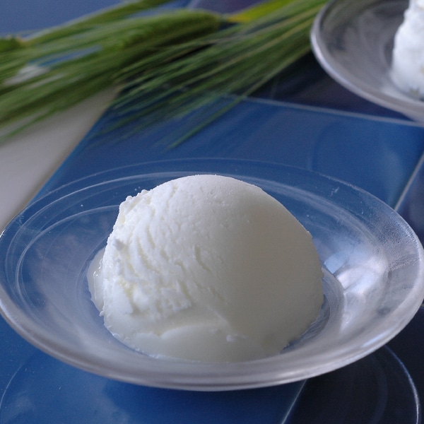 【ＡＳＯジャパン】 ソルトアイスクリーム 2L 冷凍 3セット ASOジャパン】 ソルトアイスクリーム 2L 冷凍 5セット