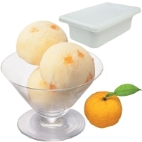 【ロッテ】 フルーツソルベ ゆず 2L 冷凍 5セット