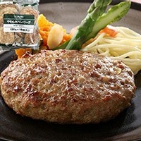 【ヤヨイサンフーズ】 やわらかハンバーグ 120G 10食入 冷凍 5セット