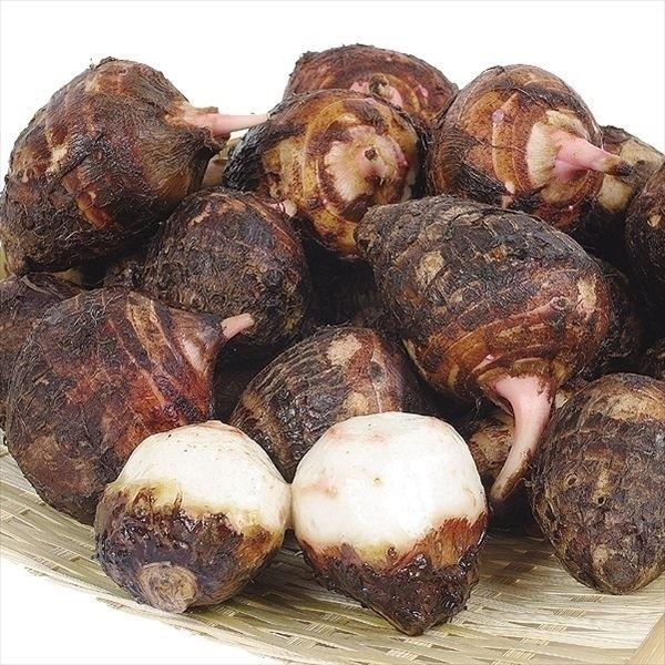 種いも 里いも 赤芽大吉 3kg