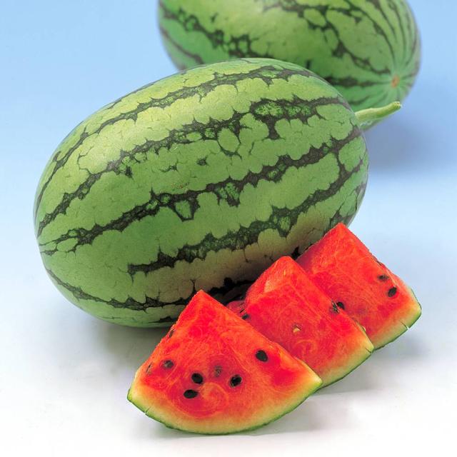実生野菜苗 スイカ F1ハニーボール 28株 5,896円