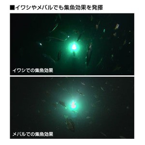 ハピソン フィッシングツール 乾電池式LED水中集魚灯 YF‐500 