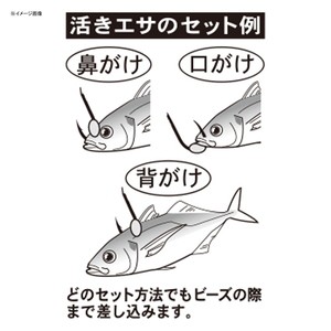 がまかつ 海上釣堀 遊動青物泳がせ仕掛 タナとりオモリ仕様 Kt018 鈎11 ハリス6 金の通販はau Pay マーケット ナチュラム フィッシング専門店