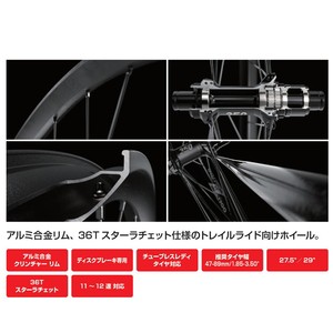 DT SWISS 自転車用品 XM 1700 Spline スプライン リアホイール スラムXD仕様 29インチ 