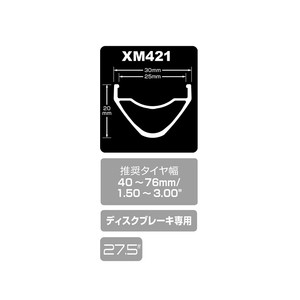 DT SWISS 自転車用品 XM421 リム 27(584) 29(622) 27.5 