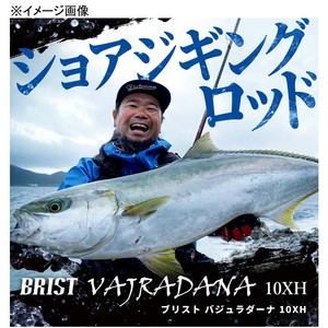 Fishman(フィッシュマン) ショアジギングロッド BRIST VAJRADANA(ブリスト バジュラダーナ) 10XH 