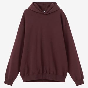 ザ・ノース・フェイス トップス(メンズ) ロック ステディ フーディ XL チコリコーヒー(24秋冬)