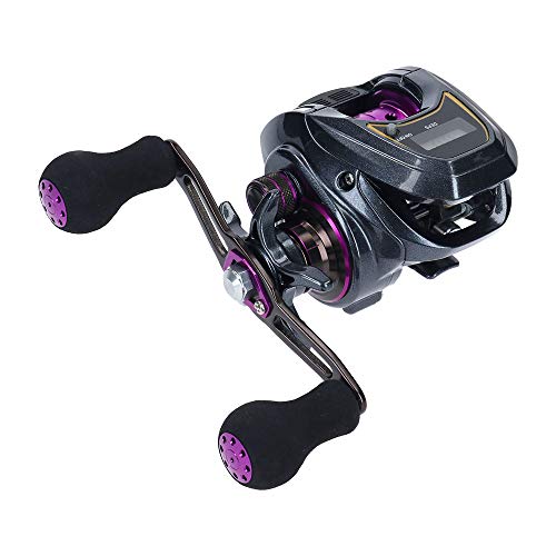 ダイワDAIWA LIGHT SW X IC R カウンター付ベイトリール