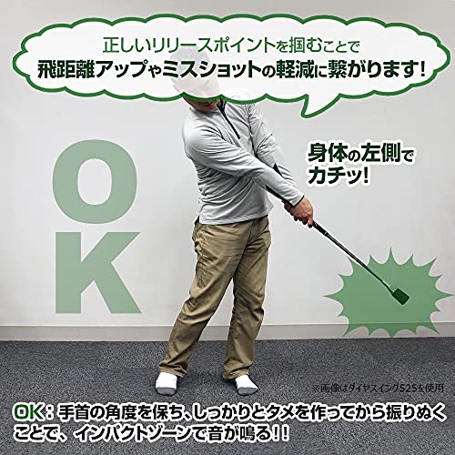 ダイヤゴルフDAIYA GOLF スイング練習機 ゴルフ練習器 ユニセックス ユニフレックス ダイヤスイング527 TR-527 両手 ブルー_2