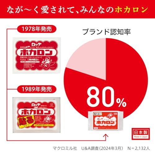 安定持続 まとめ買い 貼らないホカロン 貼らない カイロ レギュラー 240個入10P×24個カイロ/日本製_2