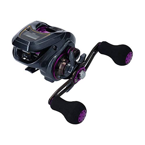 ダイワDAIWA LIGHT SW X IC L カウンター付ベイトリール