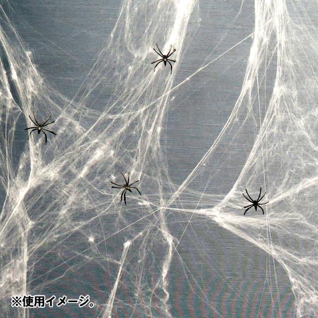 蜘蛛の巣 Japaneseclass Jp