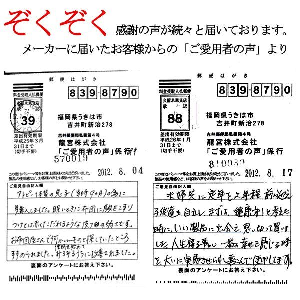 洗うほど、ふんわり「パシーマパットシーツ」シングルサイズ  (110×210cm 日本製 寝具 パットシーツ 敷きパット 赤ちゃん ５層構造)_10