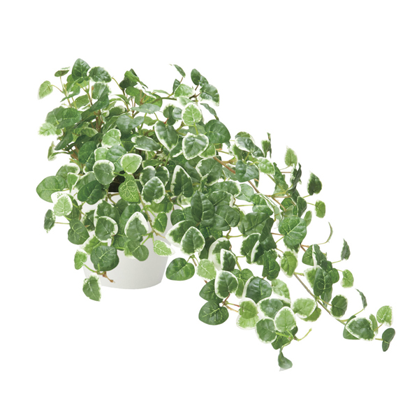 光触媒グリーンアレンジ「プミラ」（人工観葉植物 光触媒加工 V-CAT アレンジメント オフィス エントランス 新築祝い 開店祝い ギフト）の通販は 6,699円