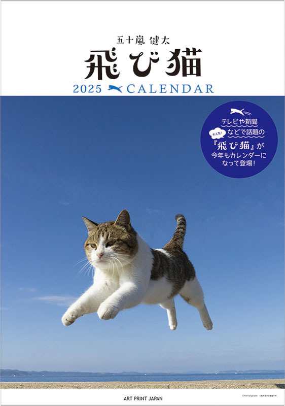 21年柴犬まるとおさんぽカレンダーの通販はau Pay マーケット 株式会社ポニー