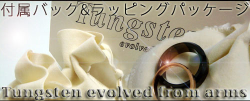 ネックレス Evolved from arms エボブードフロムアームスシルバータングステンネックレス