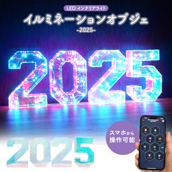 ライト イルミネーション オブジェ 2025