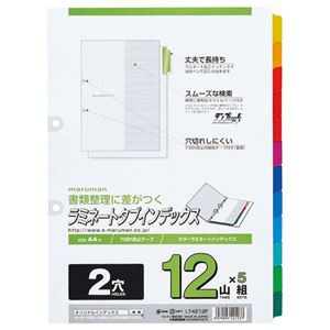 まとめ) マルマン 2穴 ラミネートタブインデックス A4タテ 12色12山+扉