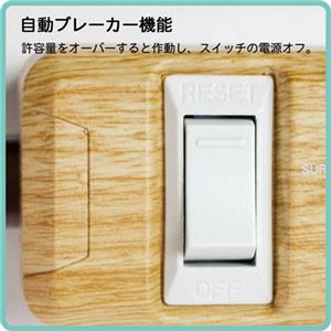 ファーゴ TAPKING USB AC6個口+USB4ポート ホワイト 1.8m PT605WH 1個｜au PAY マーケット