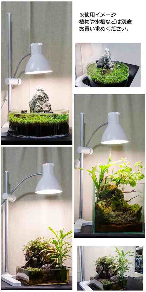 ｇｅｎｔｏｓ 植物育生ライト 太陽光ｌｅｄ 観葉植物 水草 小型水槽 ｌｅｄ テラリウム 沖縄別途送料の通販はau Pay マーケット チャーム