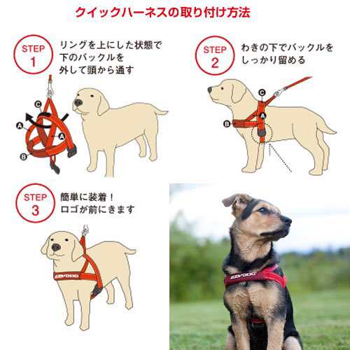 犬 ハーネス イージードッグ クイックハーネス ｘｓ 胴周り３３ ４２ｃｍ レッド 小型犬用の通販はau Pay マーケット チャーム