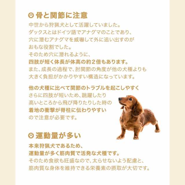 ロイヤルカナン 犬用 ドッグフード ダックスフンド 成犬用 ８００ｇ