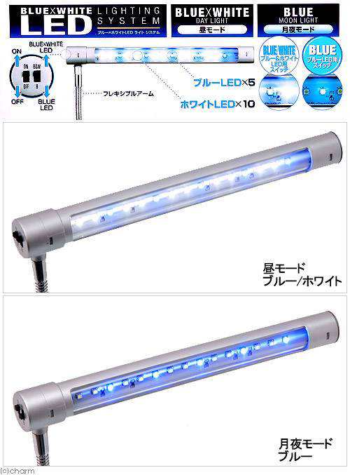 テトラ ｌｅｄスマートライト ｌｅｄ ｓｌ 小型水槽用照明 熱帯魚 水草 アクアリウムライトの通販はau Pay マーケット チャーム