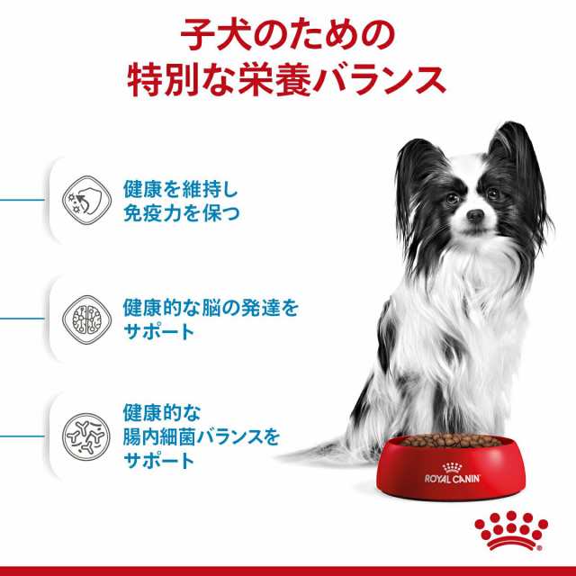 チャーム　子犬用　PAY　犬用　ロイヤルカナン　ドッグフード　PAY　エクストラスモール　お一人の通販はau　au　パピー　３１８２５５０７９３６１２　１．５ｋｇ　ジップ付　マーケット　マーケット－通販サイト