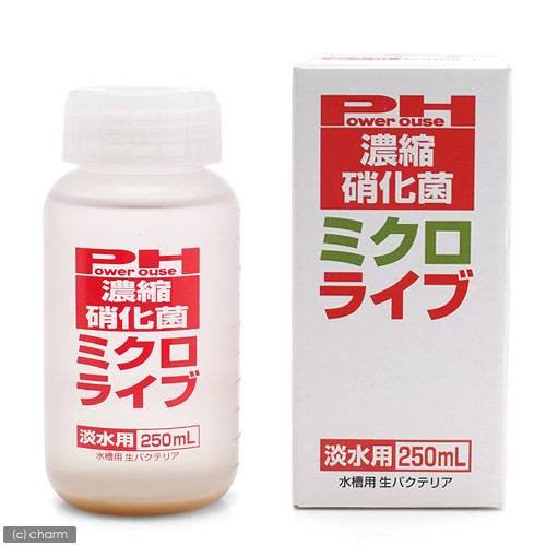 パワーハウス 濃縮硝化菌 ミクロライブ 淡水用 ２５０ｍｌ 赤 バクテリア 熱帯魚 観賞魚の通販はau Pay マーケット チャーム