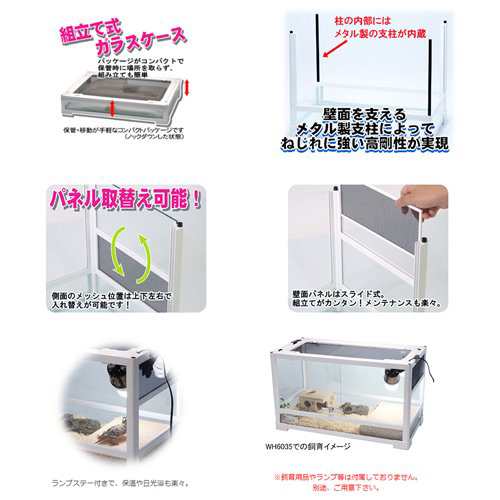 爬虫類ケージ 三晃商会 レプティワイルド パンテオン ホワイト ＷＨ４０４５（４０．５×３５．５