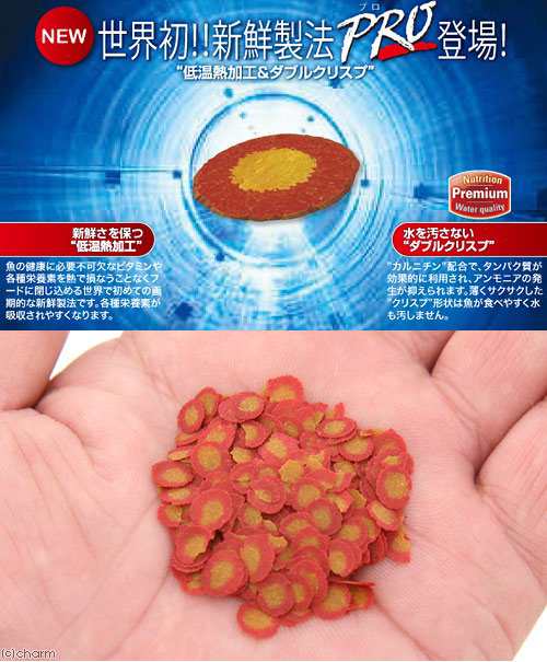 テトラ ゴールドフィッシュプロ ２２０ｇ 金魚 フード 色揚げ 金魚のえさの通販はau Pay マーケット チャーム