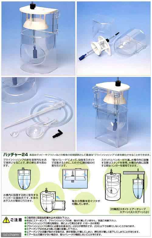 日本動物薬品 ニチドウ ブラインシュリンプ孵化器セット 約４０回分 ハッチャー２４ ノンノイズ 卵 塩の通販はau Pay マーケット チャーム