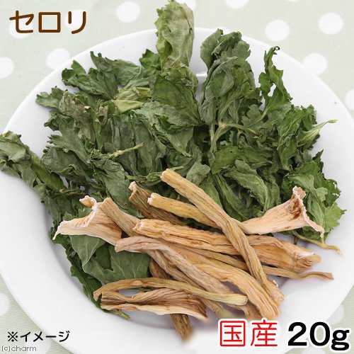 国産 セロリ ２０ｇ 小動物のおやつ ドライ野菜 うさぎ ハムスター 無添加 無着色 ハムスター 餌 の通販はau Pay マーケット チャーム