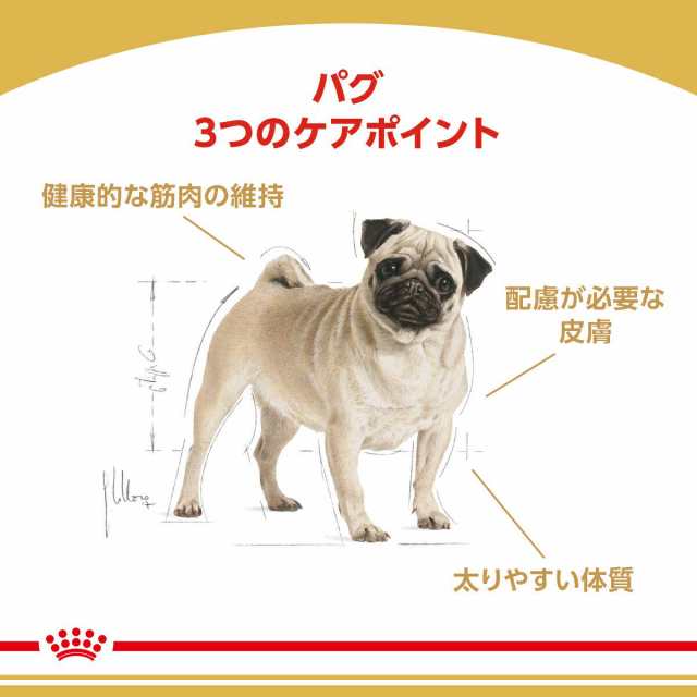 ロイヤルカナン 犬用 ドッグフード　パグ　成犬・高齢犬用　１．５ｋｇ×５袋　ジップ付　お一人様１点限りの通販は