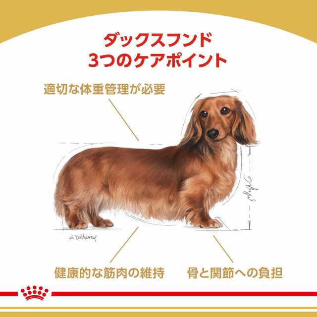 ロイヤルカナン 犬用 ドッグフード ダックスフンド 成犬用 ７．５ｋｇ ３１８２５５０８１２０１６ ジップ付 沖縄別途送料 お一の通販はau PAY  マーケット - チャーム