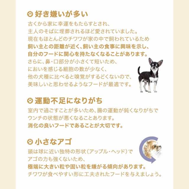 ロイヤルカナン 犬用 ドッグフード チワワ 成犬用 ３ｋｇ