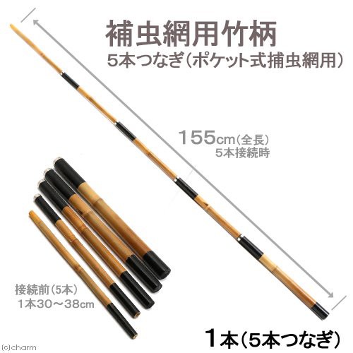 ５本つなぎ ポケット式捕虫網用 全長１５５ｃｍ 捕虫網用竹柄 志賀昆虫 虫取り網 昆虫採集 ポケット式の通販はau Pay マーケット チャーム