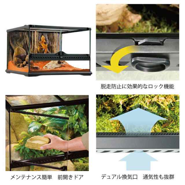 爬虫類ケージ ＧＥＸ エキゾテラ グラステラリウム ４５３０ 爬虫類 トカゲ リクガメ ケージ お一人様１点限りの通販はau PAY マーケット -  チャーム | au PAY マーケット－通販サイト