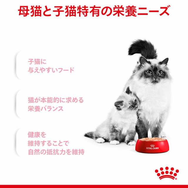 ロイヤルカナン 猫用 キャットフード ＦＨＮ－ＷＥＴ マザー＆ベビーキャット 離乳期～４ヶ月齢 １００ｇ 正規品 ９３３４２１４の通販はau PAY  マーケット - チャーム