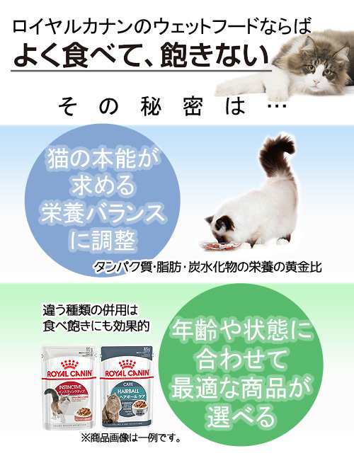 ロイヤルカナン 猫用 キャットフード 子猫 ＦＨＮ−ＷＥＴ マザー ...