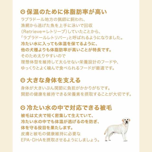 ロイヤルカナン 犬用 ドッグフード ラブラドールレトリバー