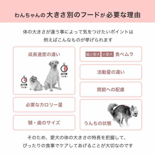 ロイヤルカナン 犬用 ドッグフード マキシ アダルト ５＋ 中高齢犬用