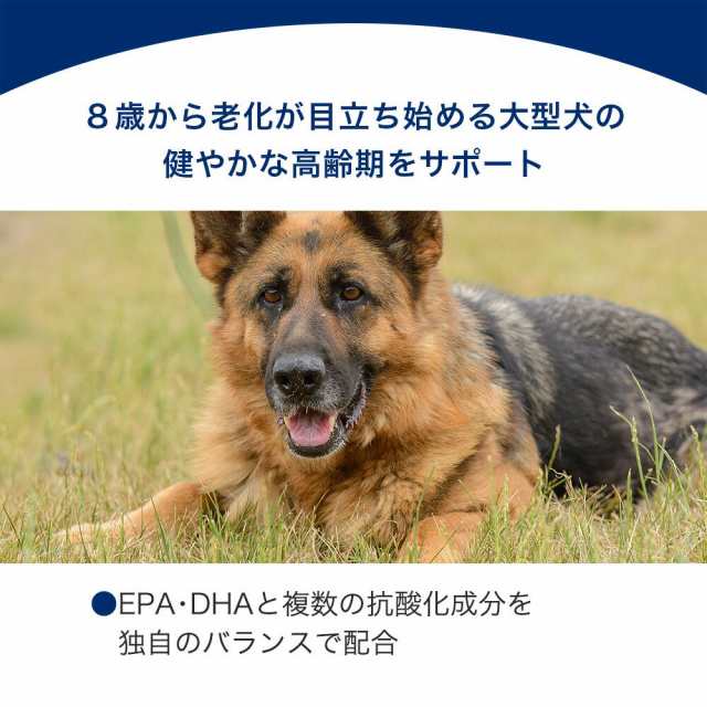 ロイヤルカナン 犬用 ドッグフード マキシ エイジング ８＋ 高齢犬用 ...