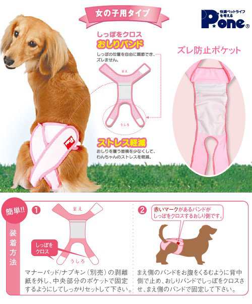 国産 女の子のためのマナーホルダー ３ｌ 犬 ウェア サニタリーパンツ おもらし ペットの通販はau Pay マーケット チャーム