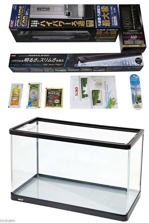 送料無料】 GEX ラピレスRV60DT LEDセット 60cm曲げガラス