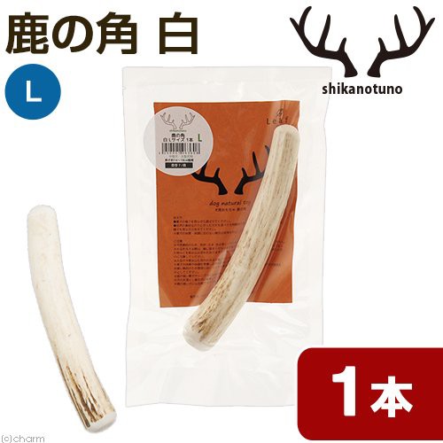 鹿の角 白 ｌサイズ 長さ１４ １８ｃｍ以下 １本 中型犬 大型犬 サンドブラスト加工 おもちゃ デンタルケアの通販はau Pay マーケット チャーム